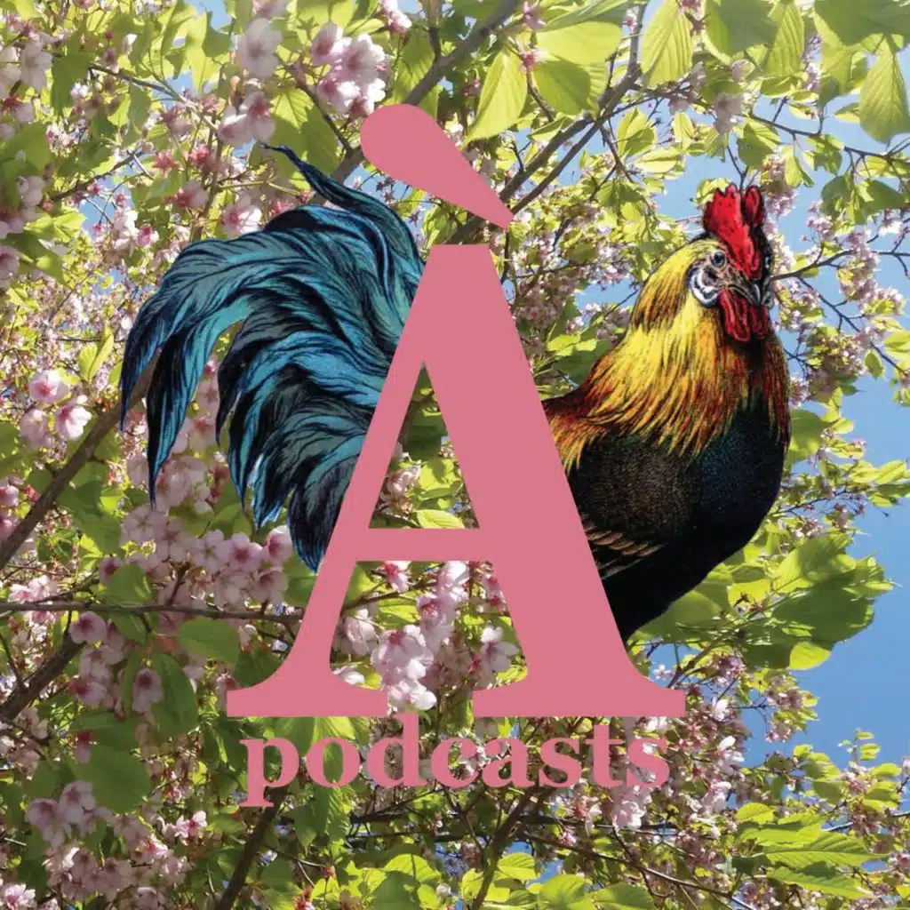 episode-header-image