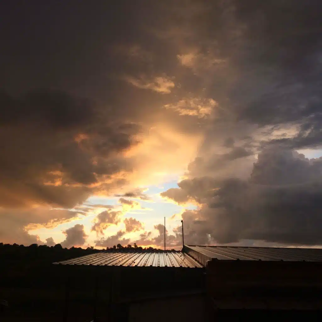 header-image