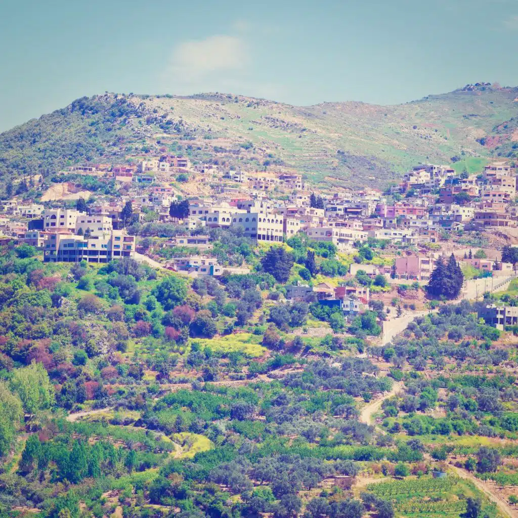 header-image