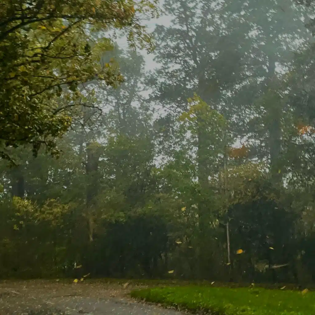 header-image