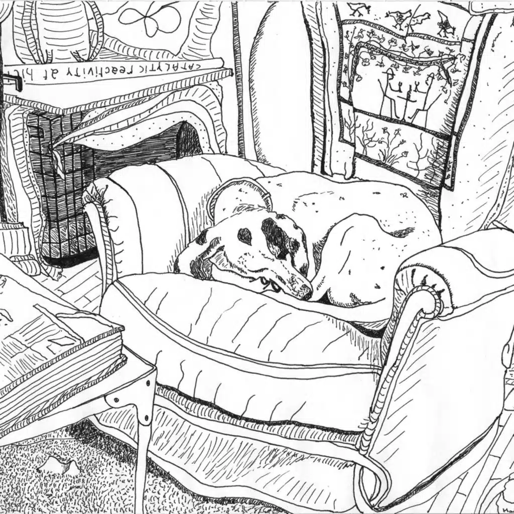 header-image