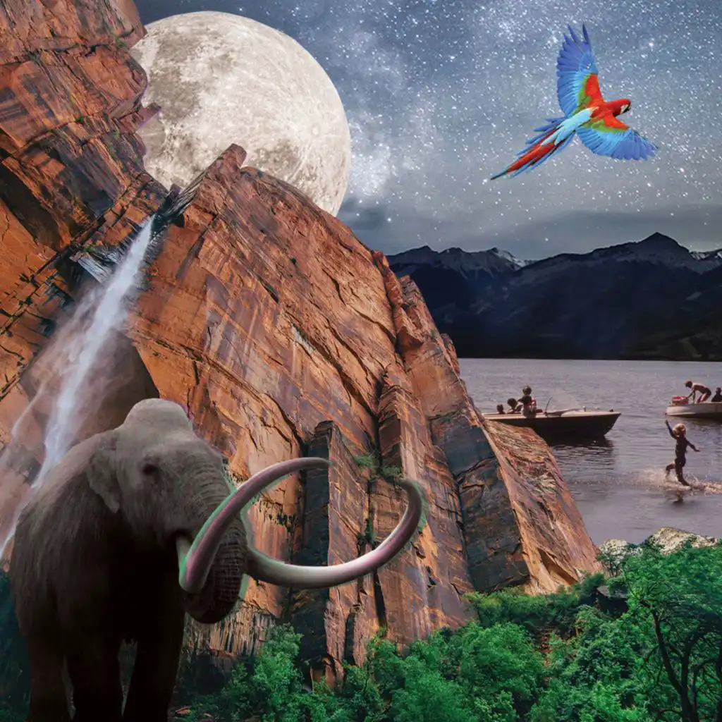 header-image