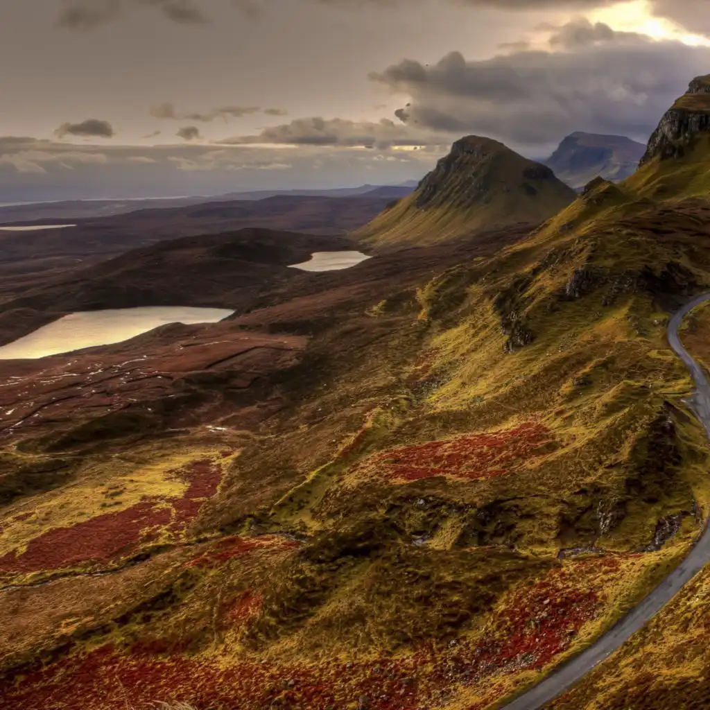 header-image