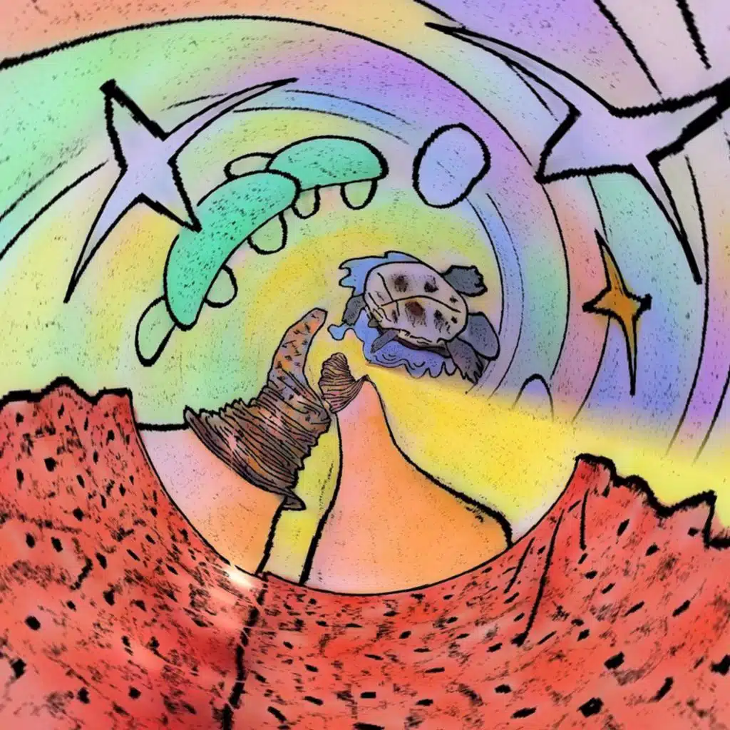 artist-header-image