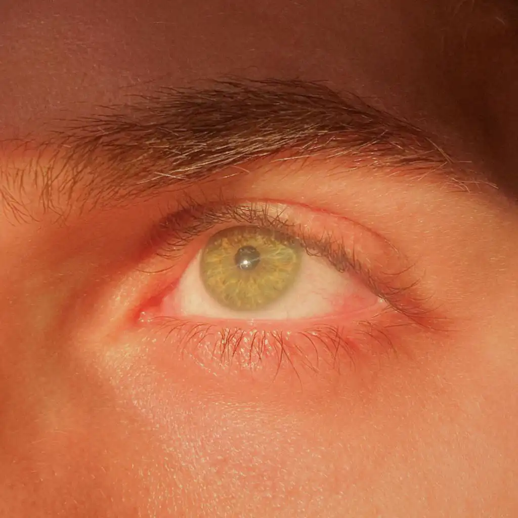 header-image