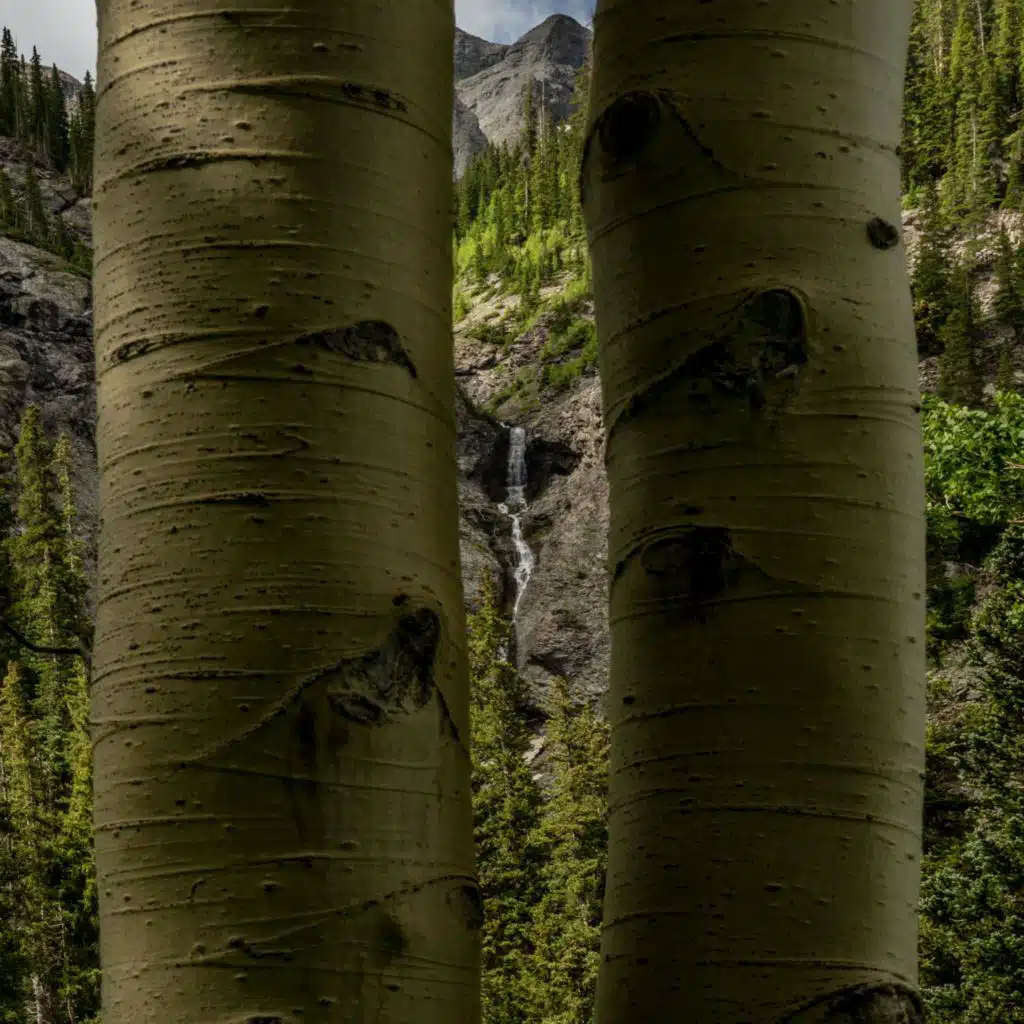 header-image