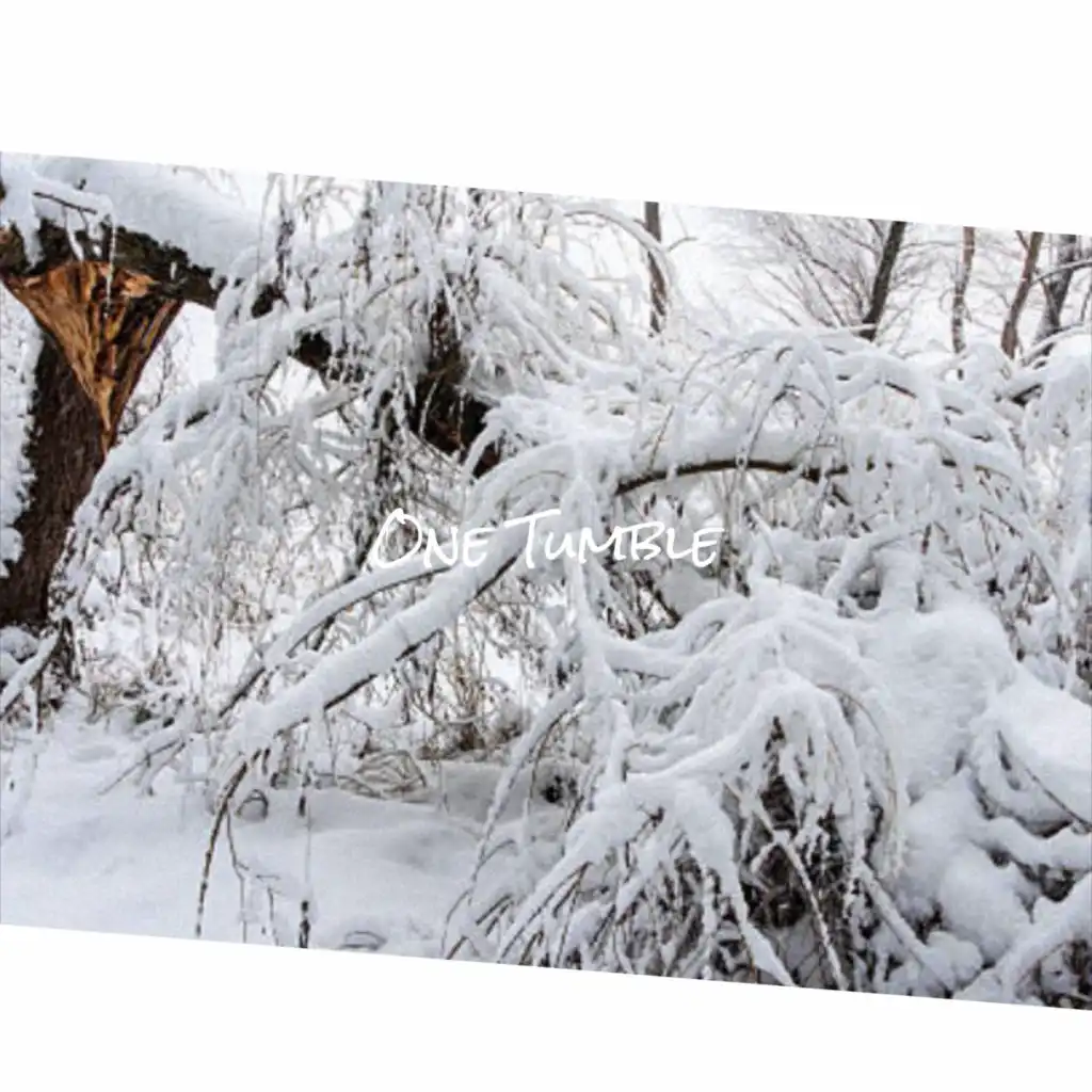 header-image
