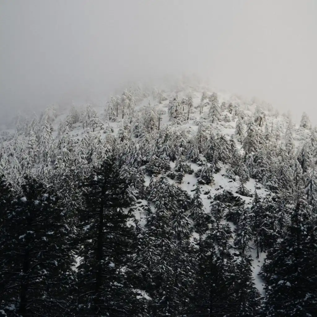 header-image