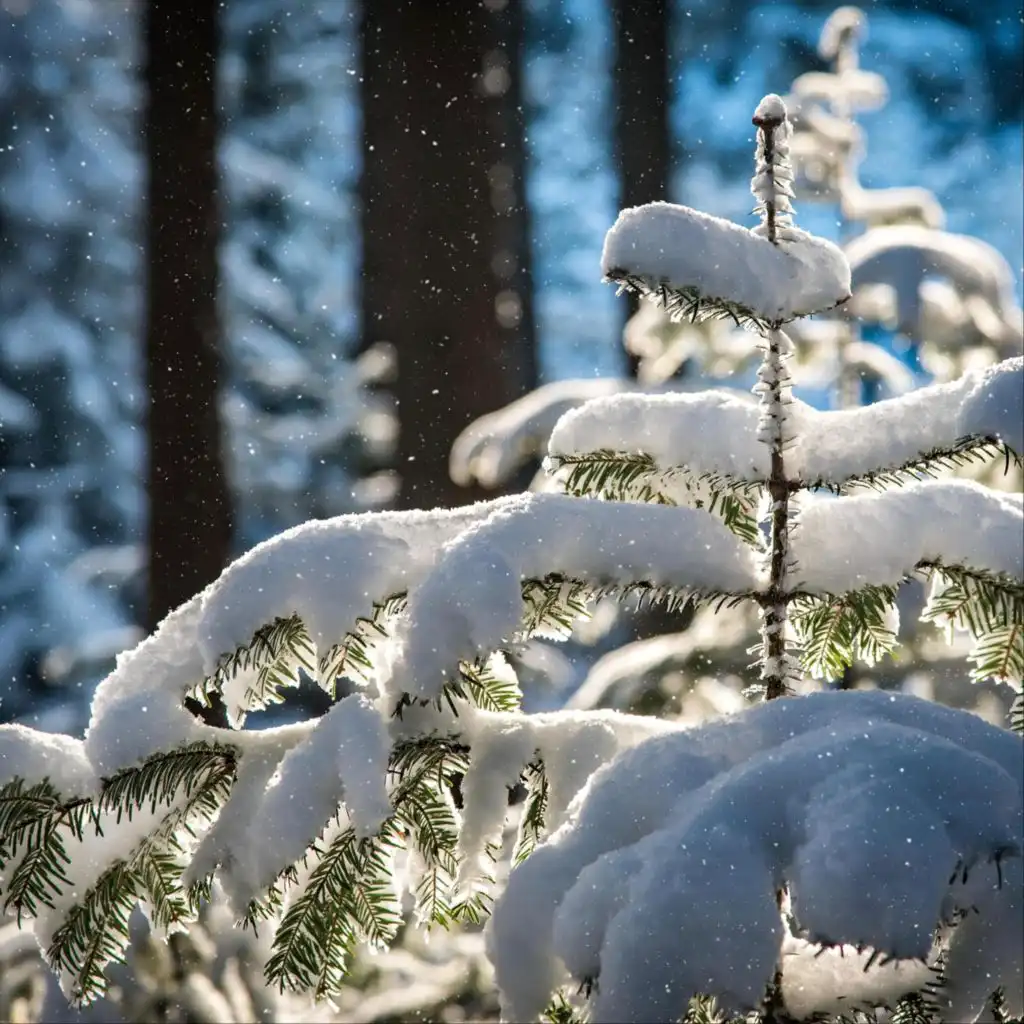 header-image