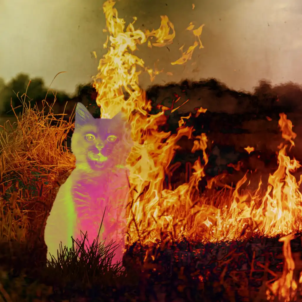 artist-header-image