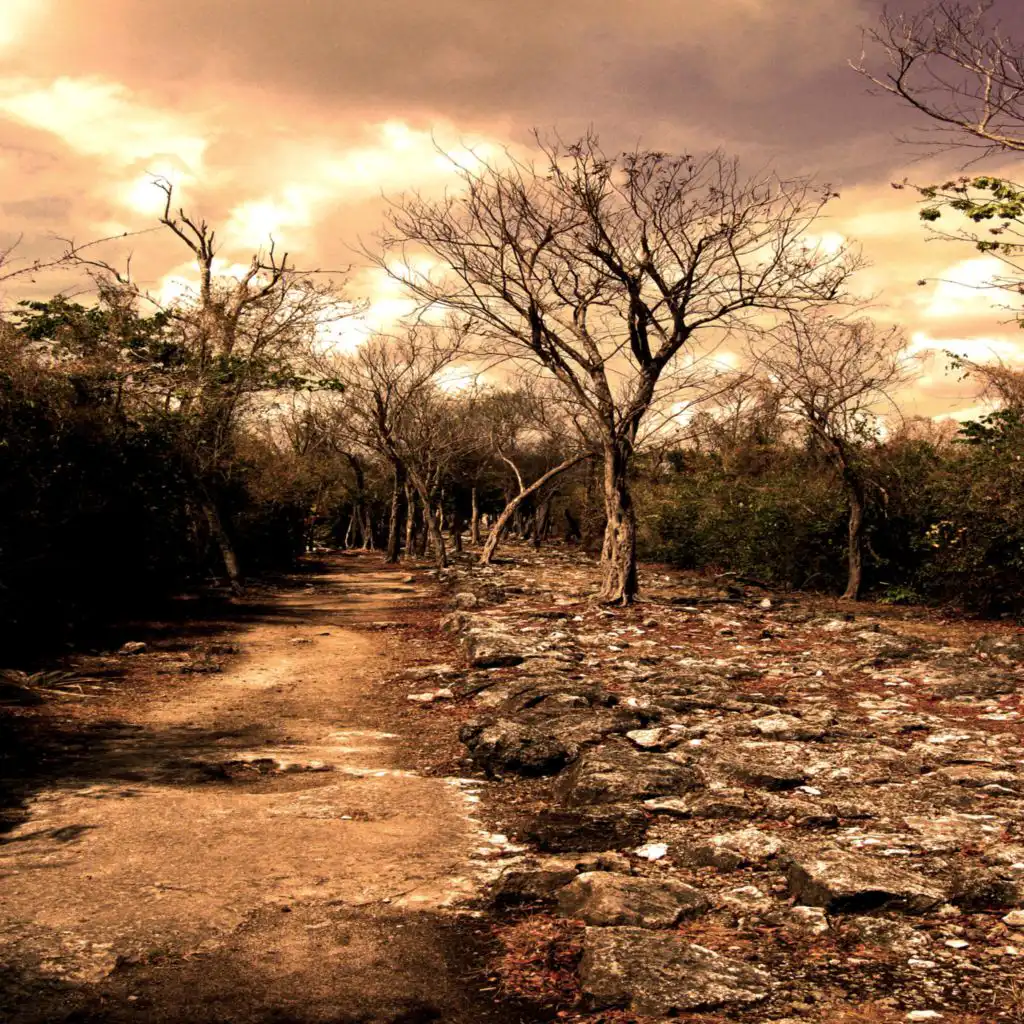 header-image