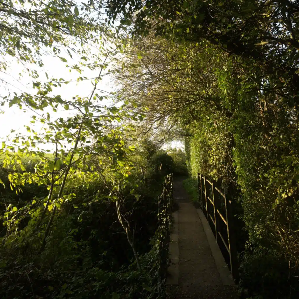 header-image