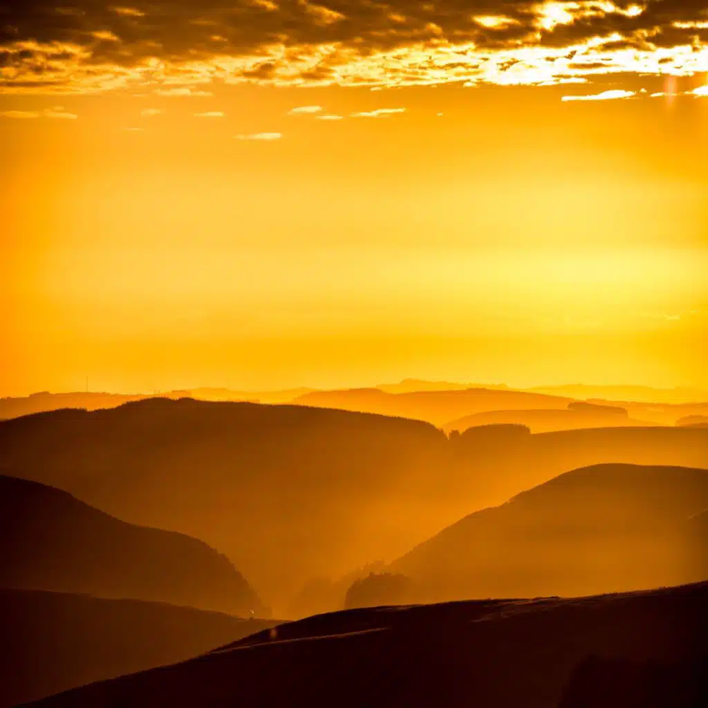header-image