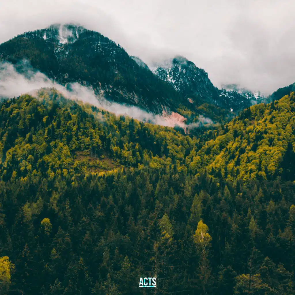 header-image