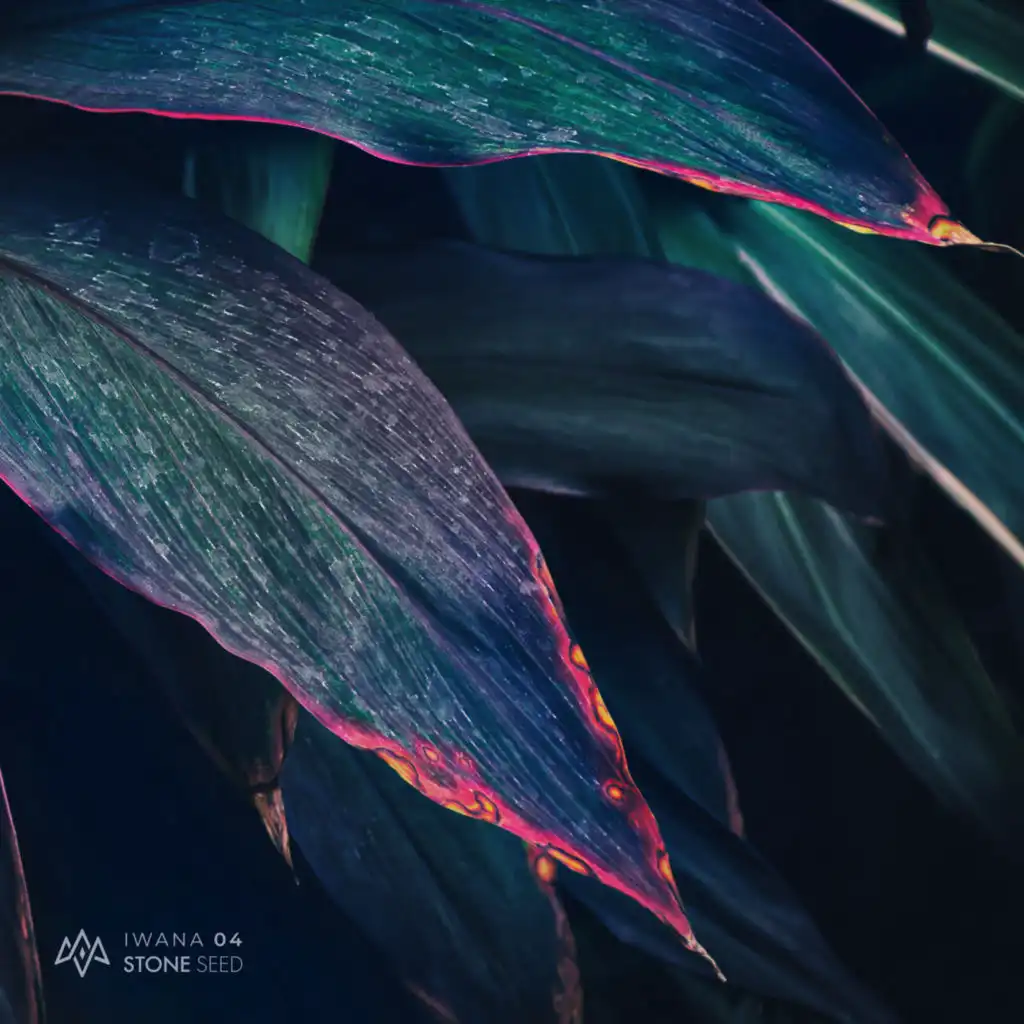 artist-header-image