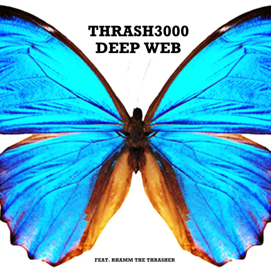 header-image