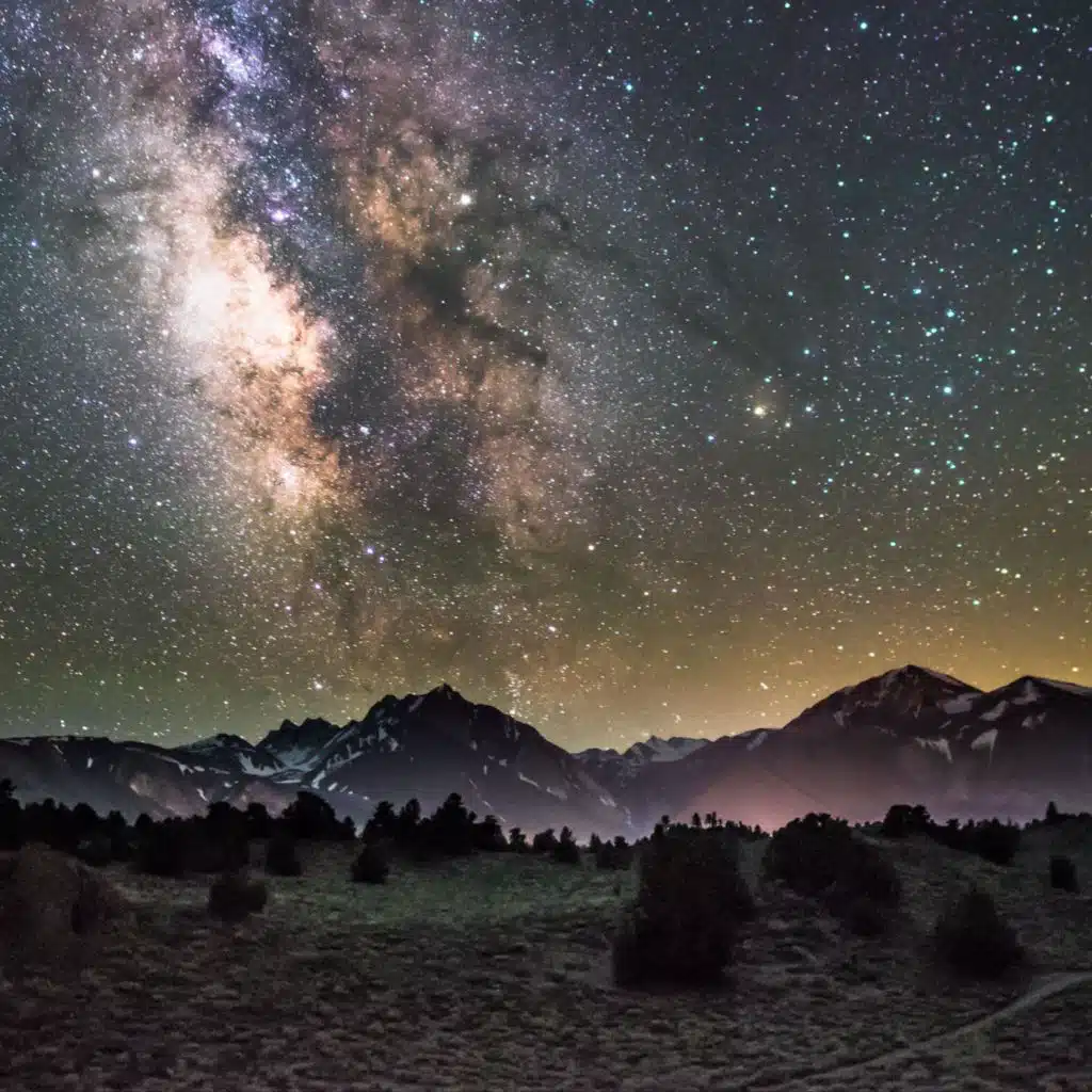 artist-header-image