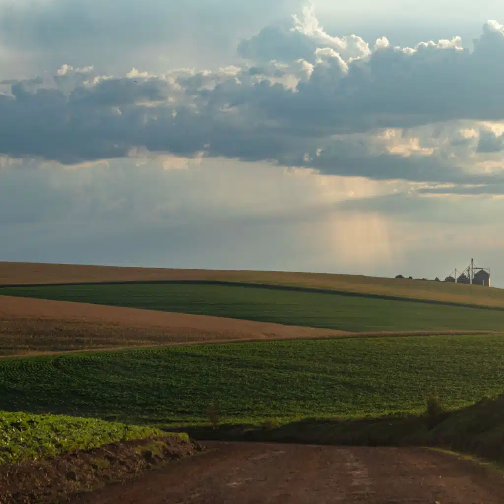 episode-header-image