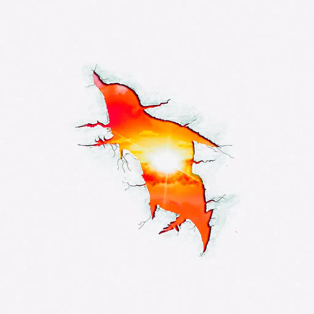 header-image