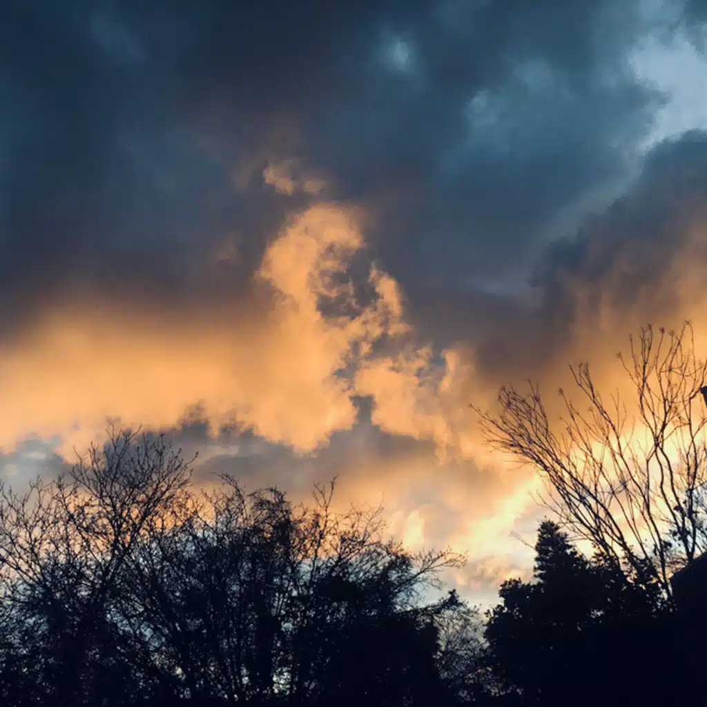 header-image