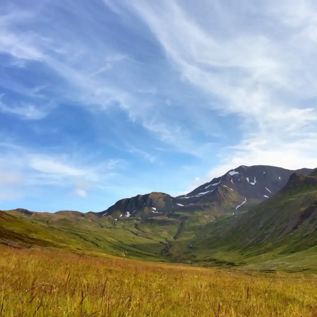 header-image