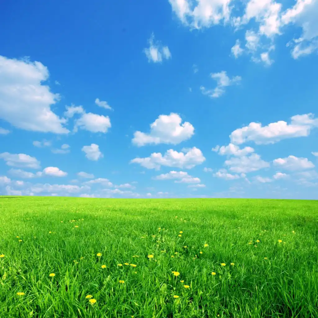 artist-header-image