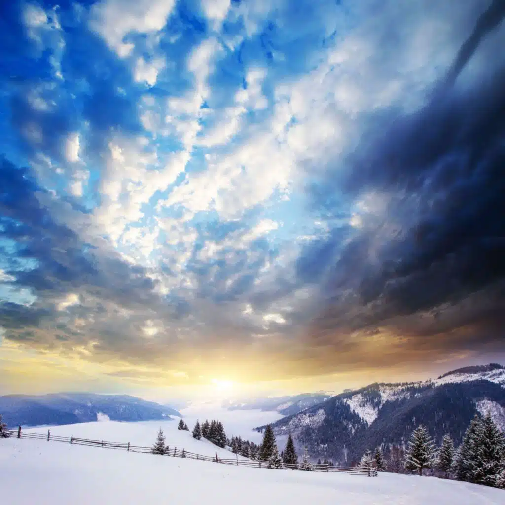 header-image