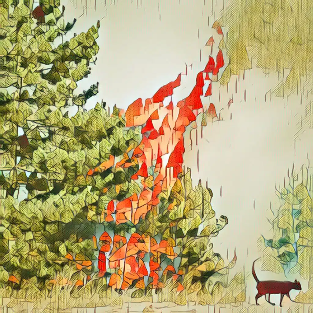 header-image