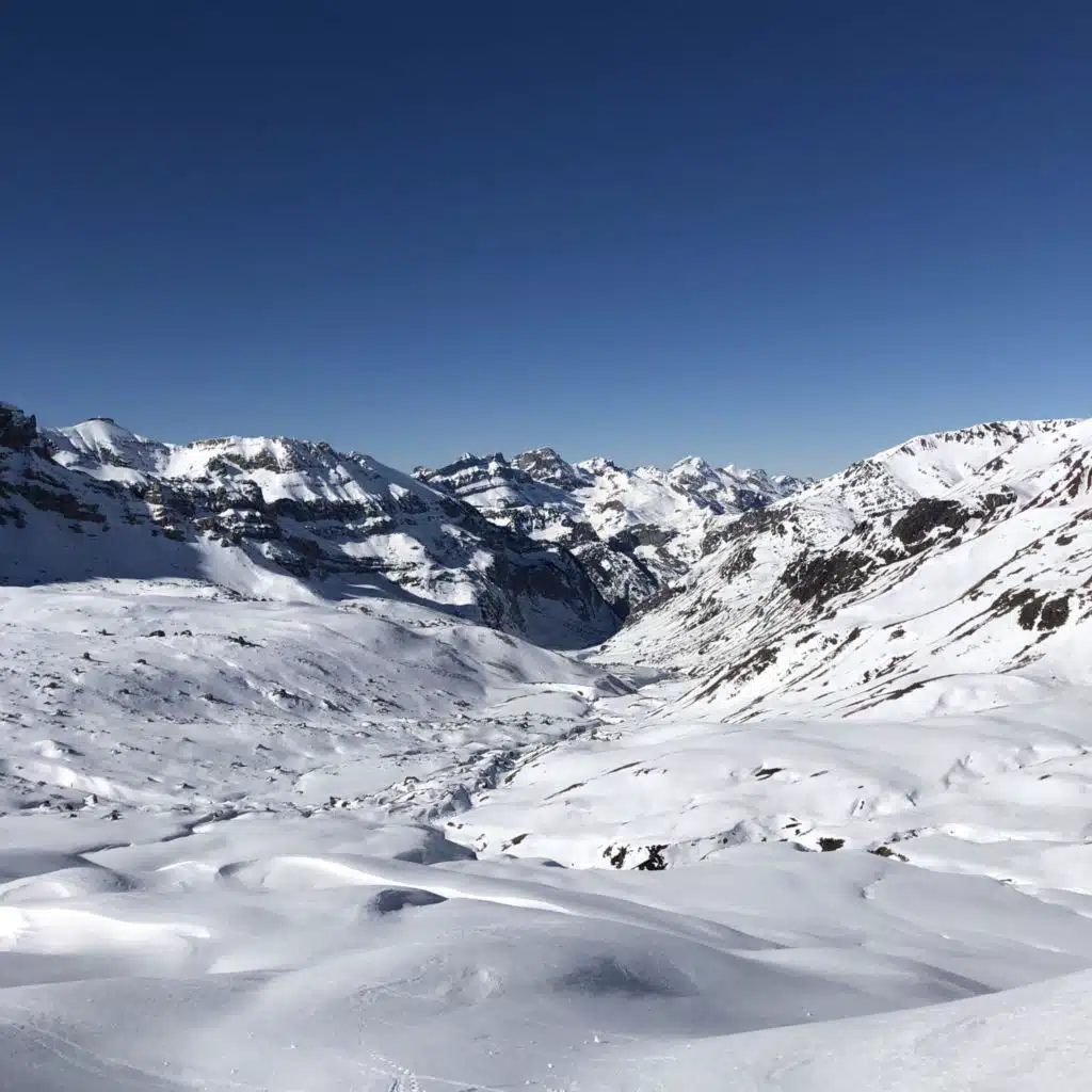 header-image
