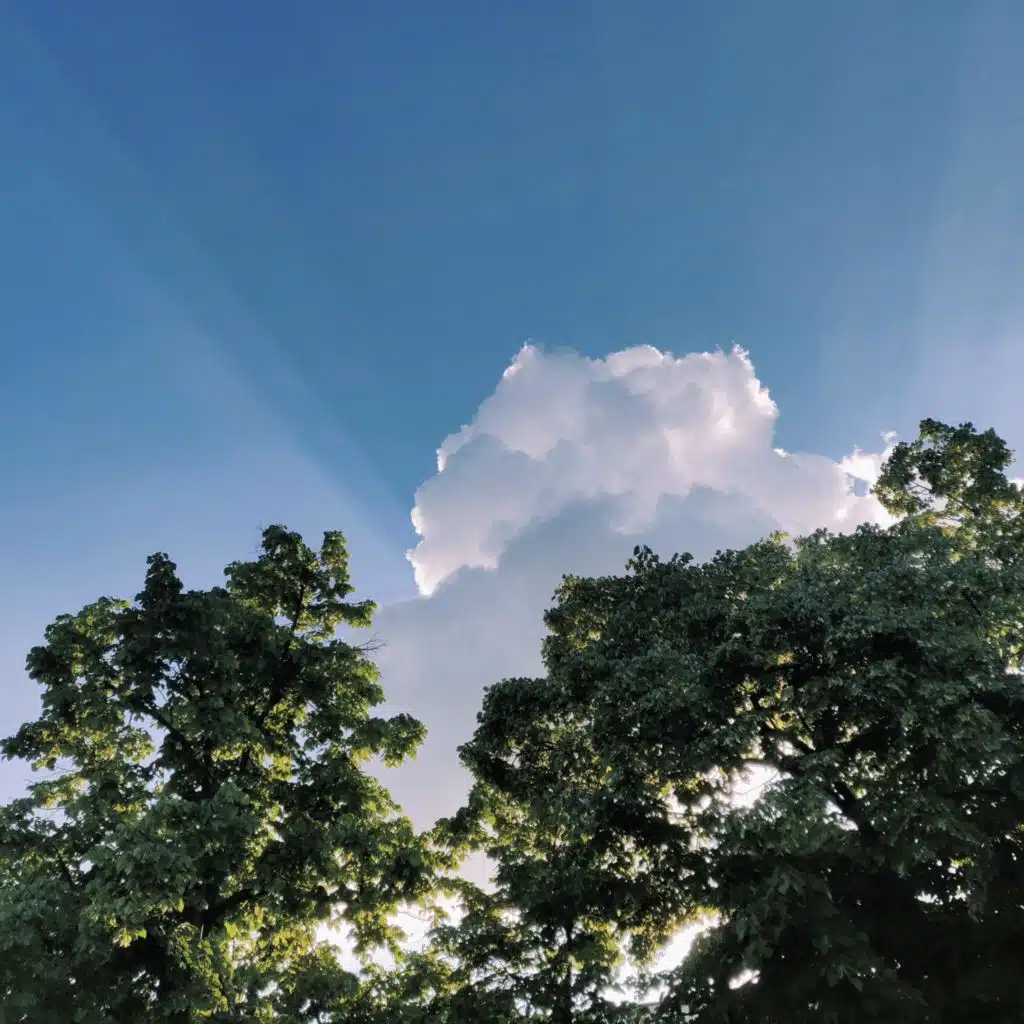 header-image