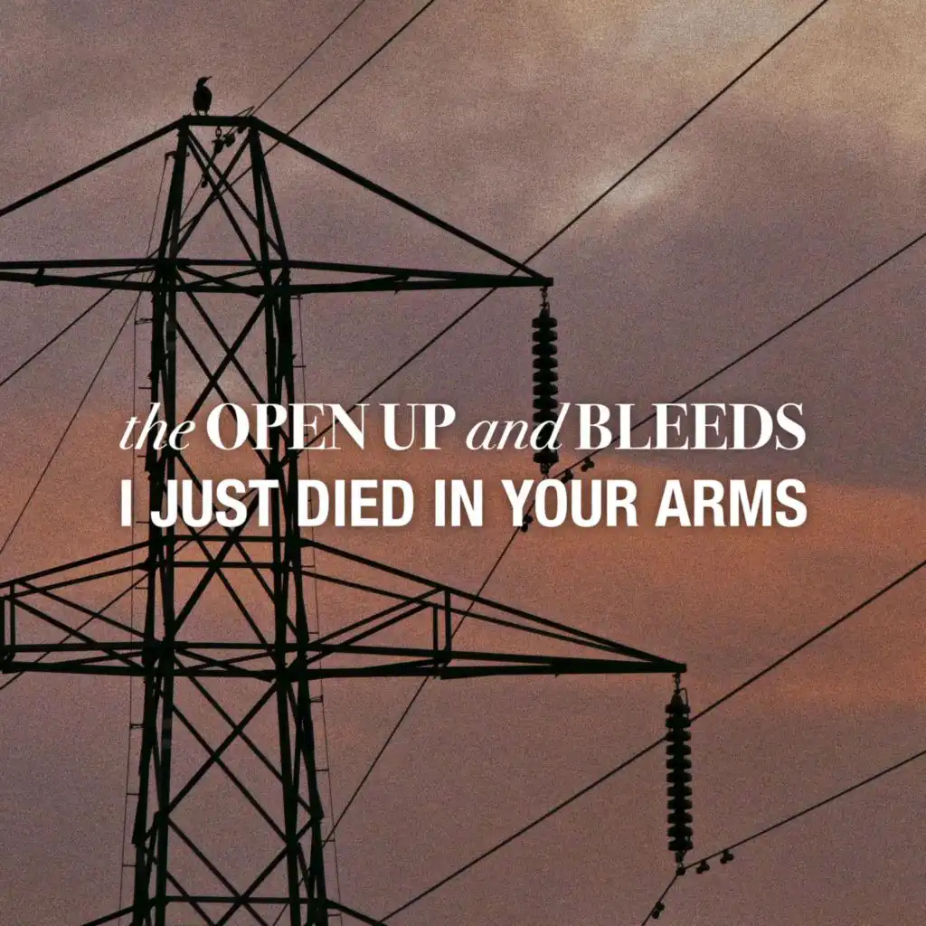 artist-header-image