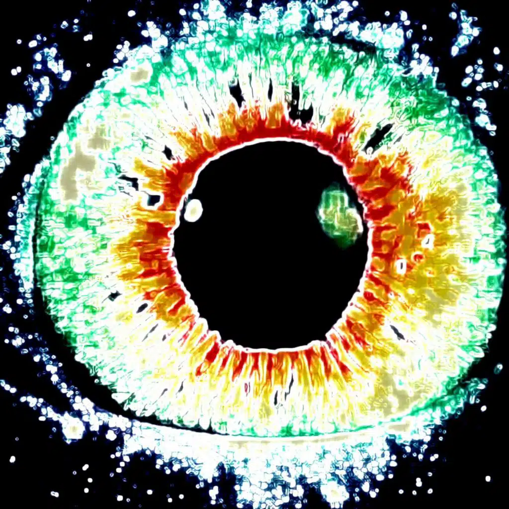 artist-header-image