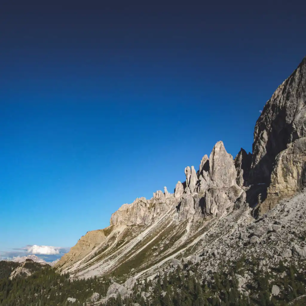 header-image