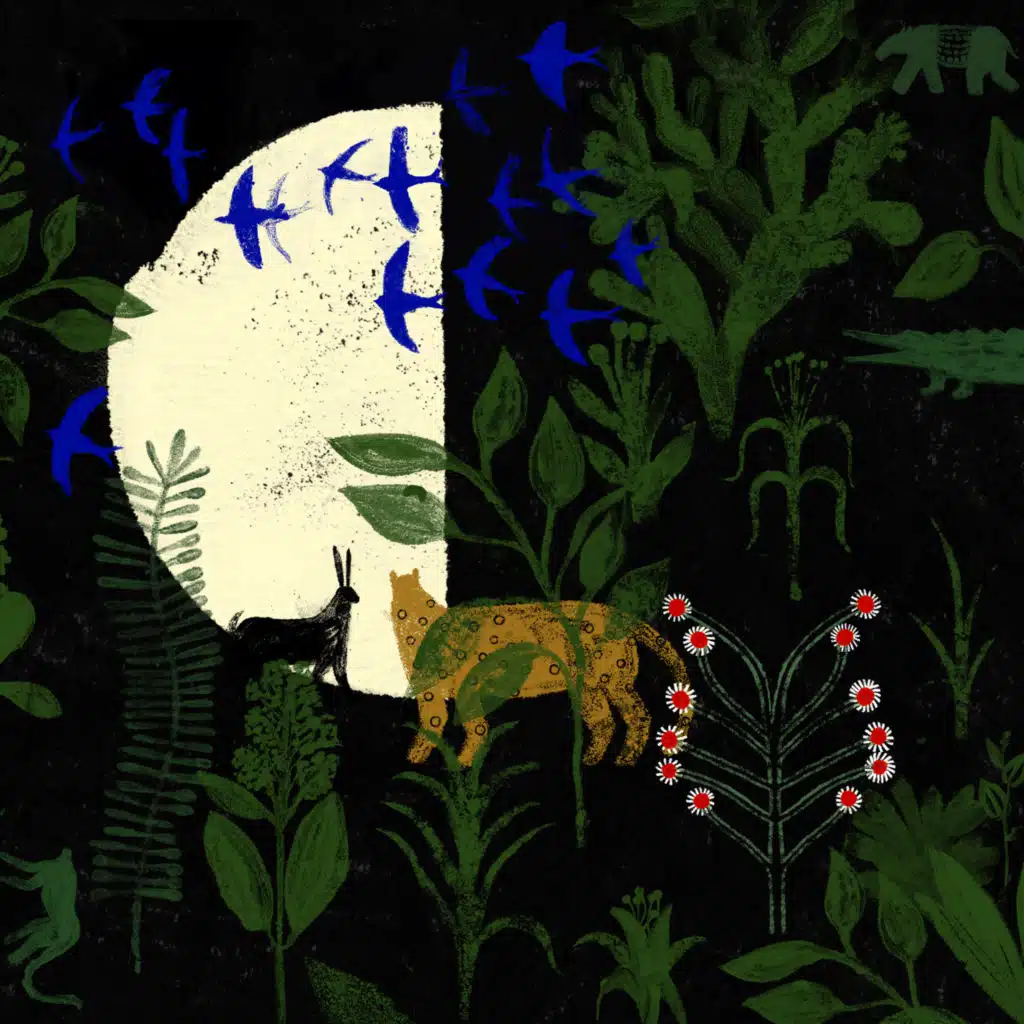 header-image