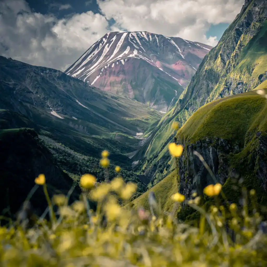 header-image