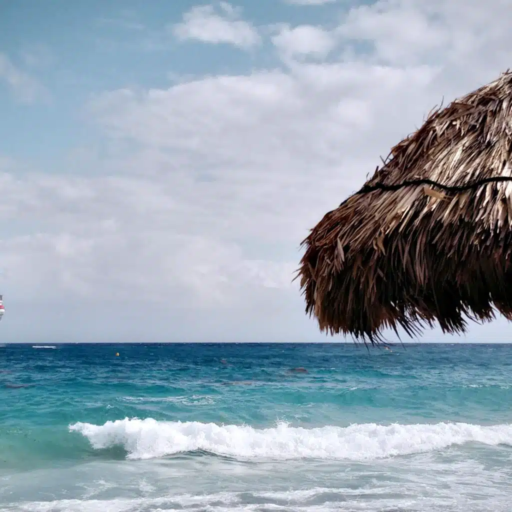 header-image