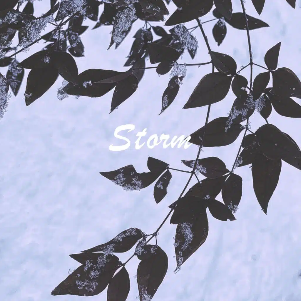 header-image