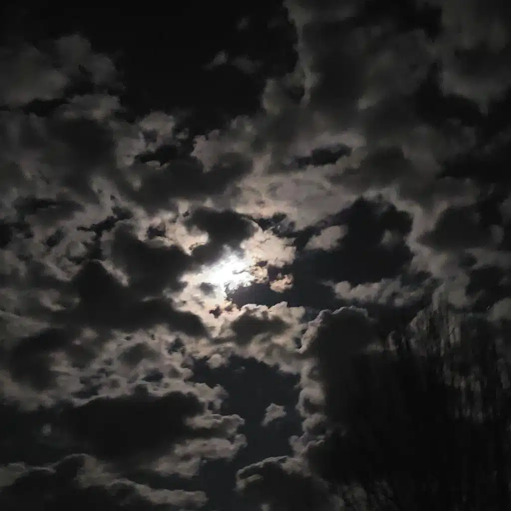 header-image