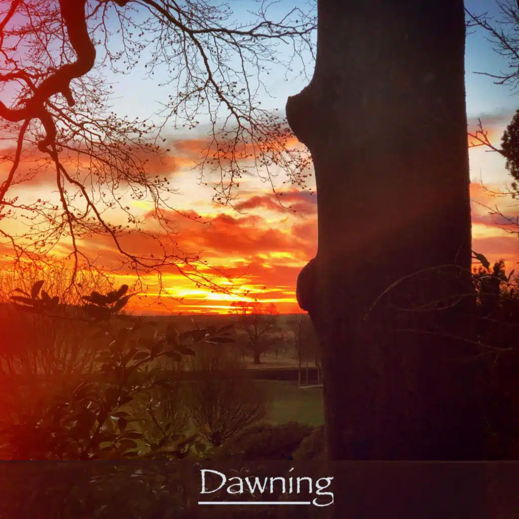 header-image