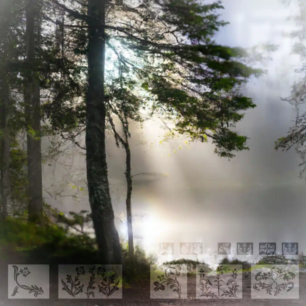 header-image