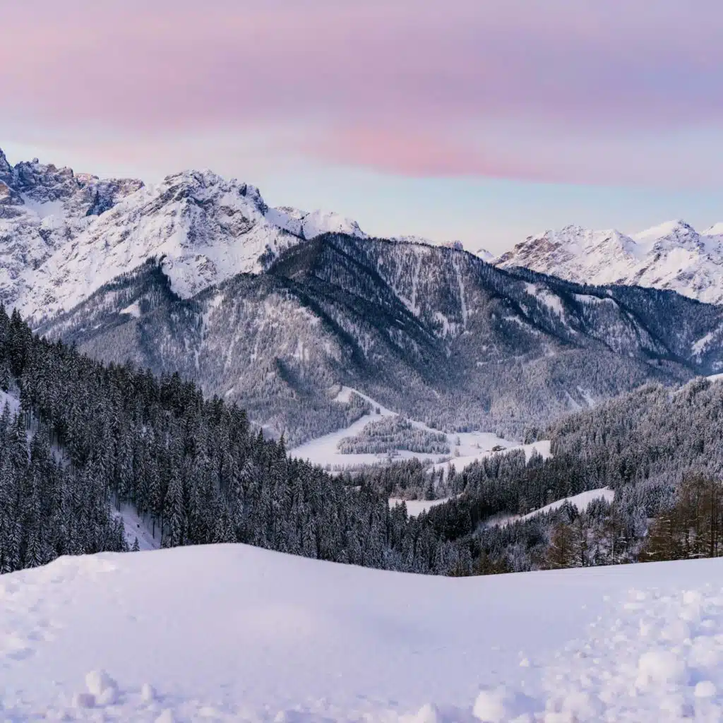 header-image