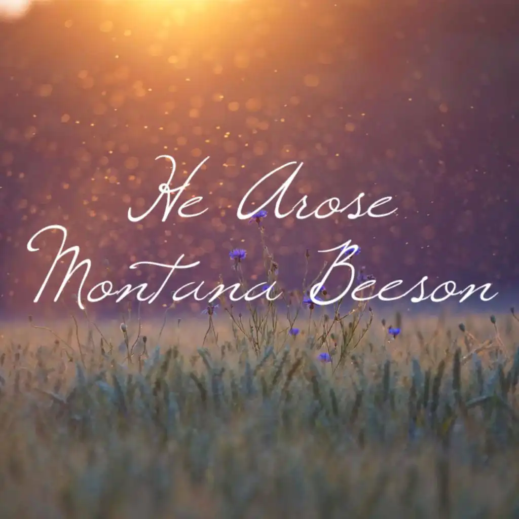 artist-header-image