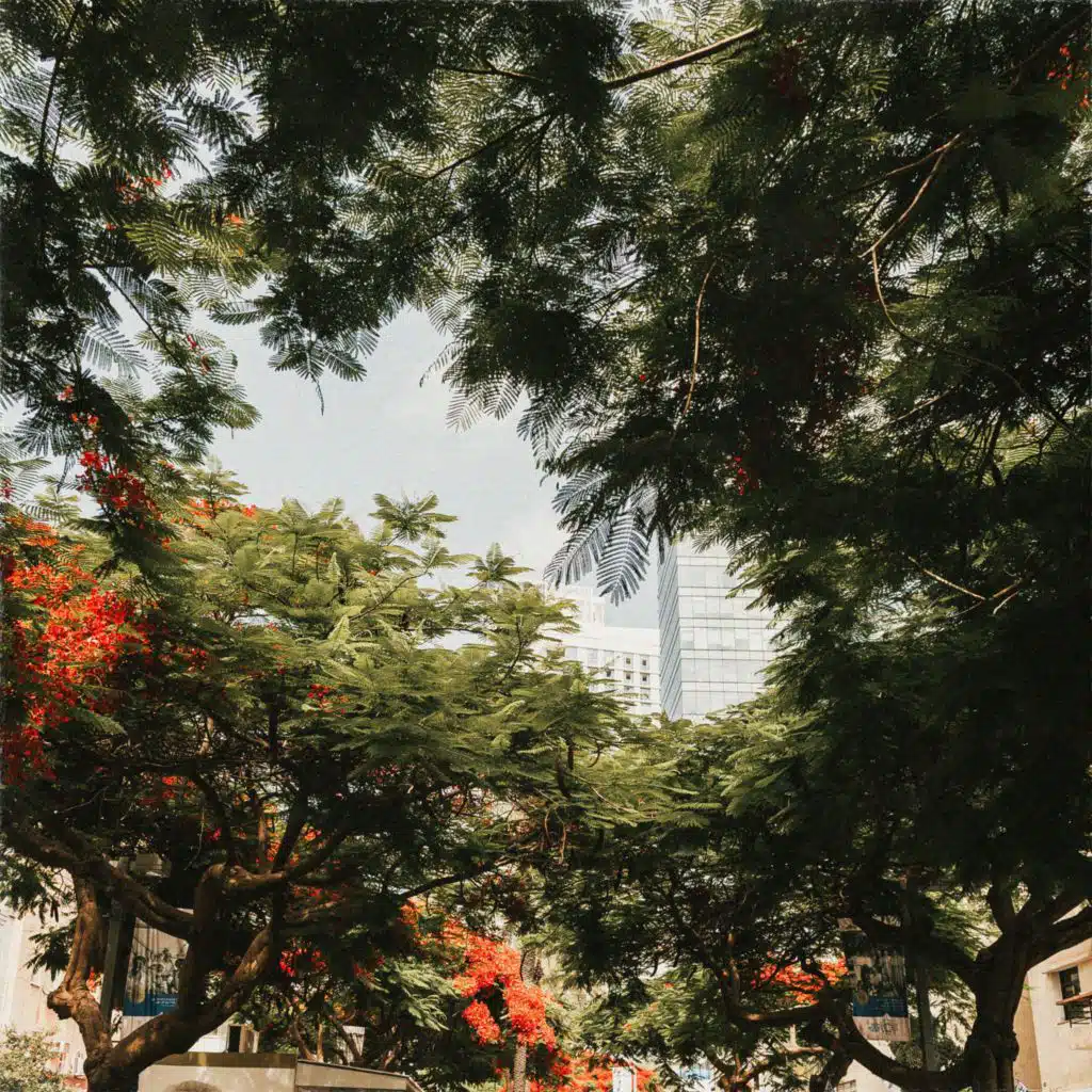 header-image