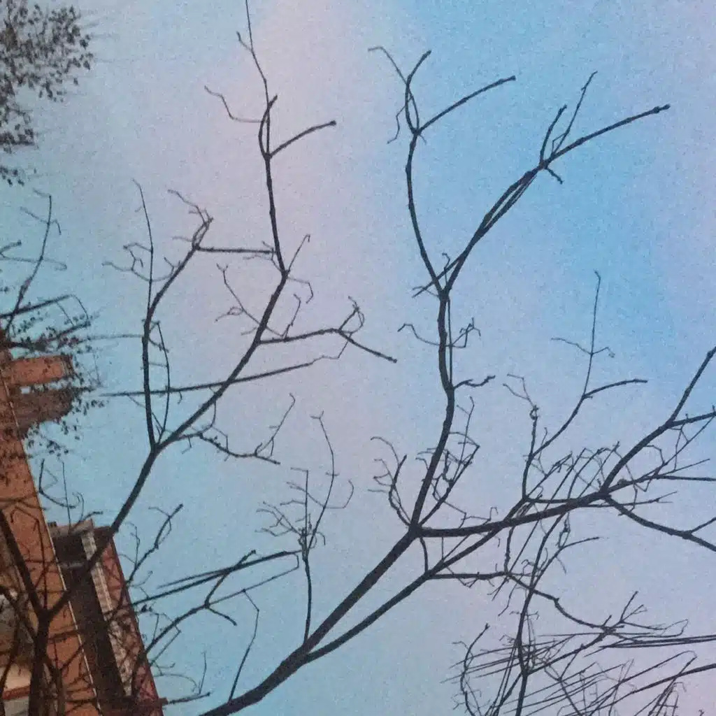 header-image