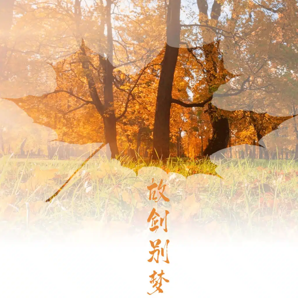 header-image