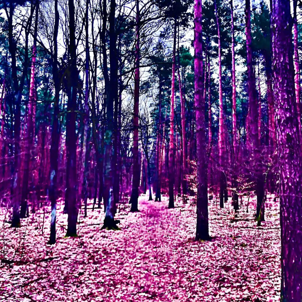 header-image