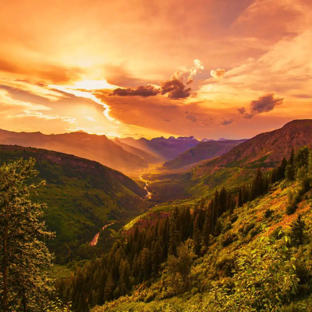 artist-header-image