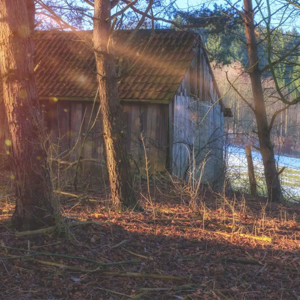 header-image