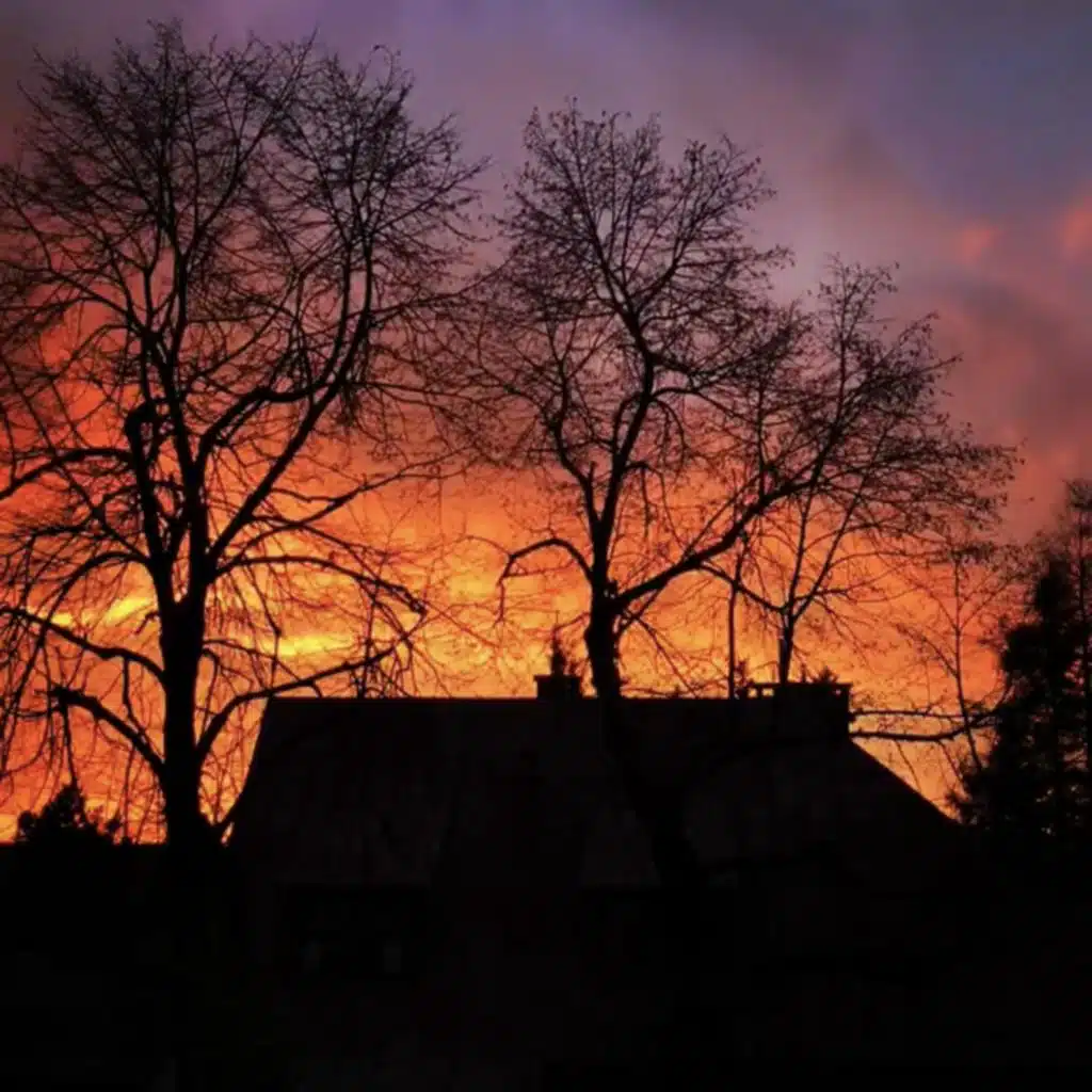 header-image
