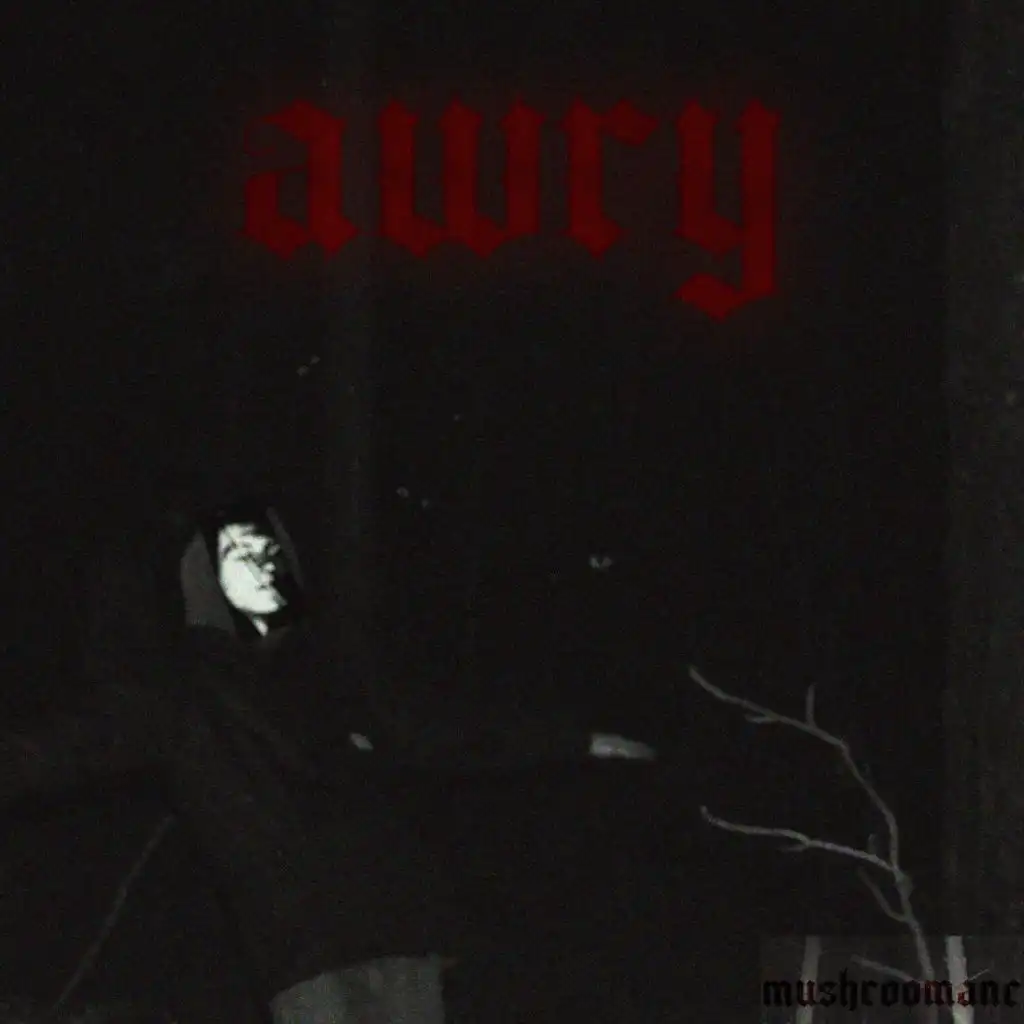 artist-header-image